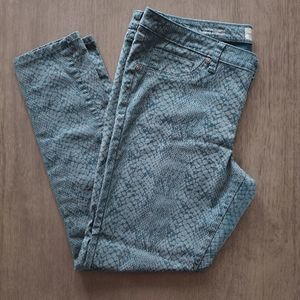 Massimo Premium Teal Snake Print Denim Leggings Size 18